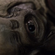 Illustration for article titled The Destiny crew answers your biggest SGU season 2 questions